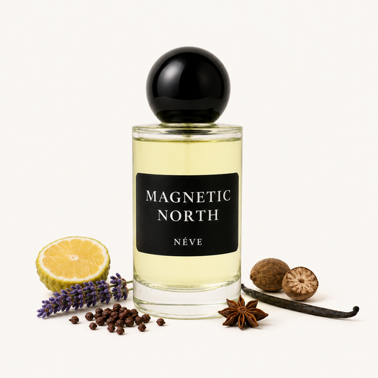 MAGNETIC NORTH